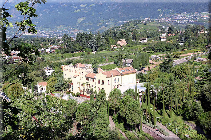 foto Giardini Trauttmansdorff - Boschi del Mondo